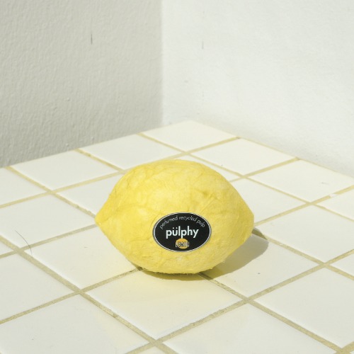 [추석선물] [프루티펄피] 레몬향 실내방향제-비보트